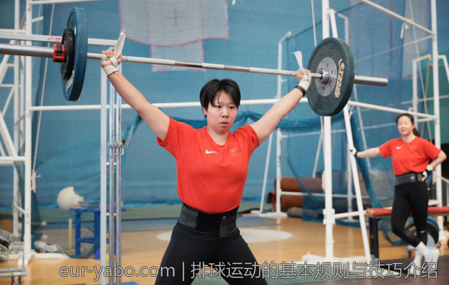 排球运动的基本规则与技巧介绍
