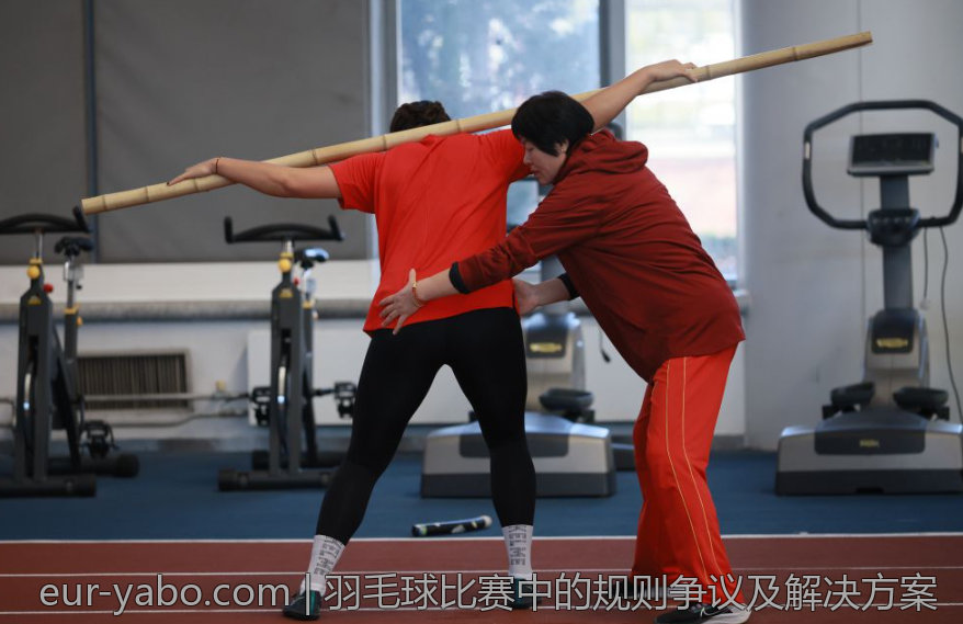 羽毛球比赛中的规则争议及解决方案