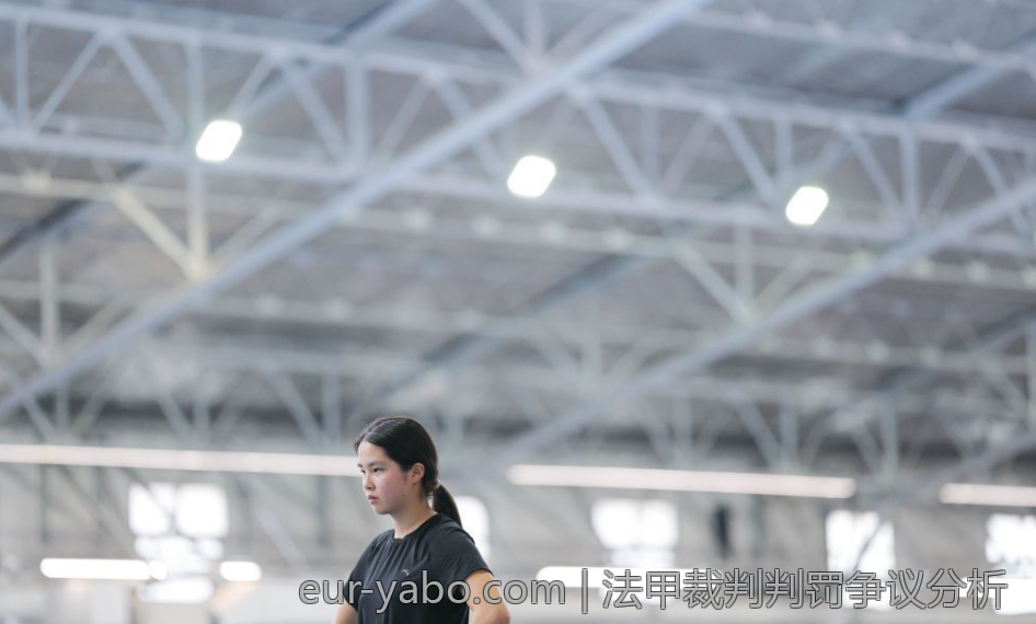 法甲裁判判罚争议分析